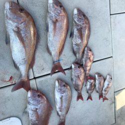 遊漁船メテオ 釣果