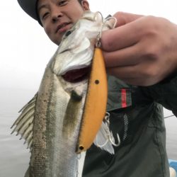 アマテラス 釣果