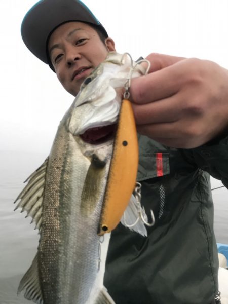 アマテラス 釣果