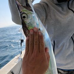 末広丸(熊本) 釣果