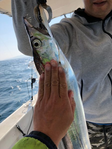 末広丸(熊本) 釣果