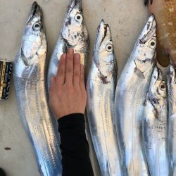 末広丸(熊本) 釣果