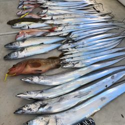 末広丸(熊本) 釣果