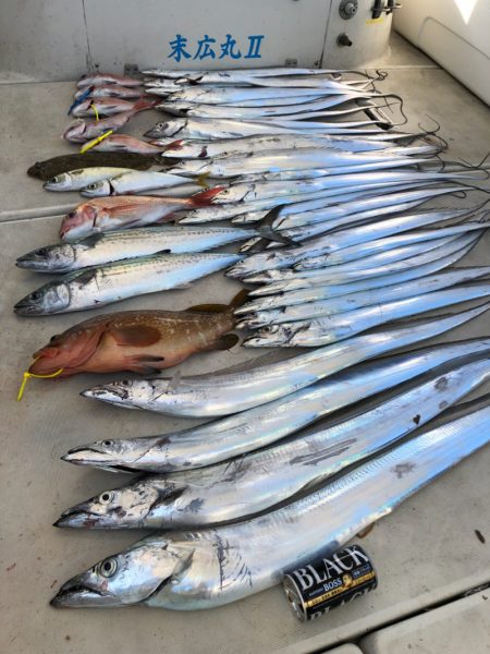 末広丸(熊本) 釣果