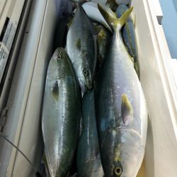 第二八坂丸 釣果