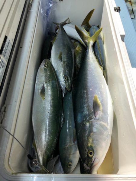 第二八坂丸 釣果