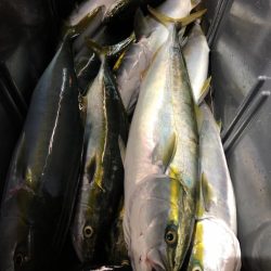 第二八坂丸 釣果