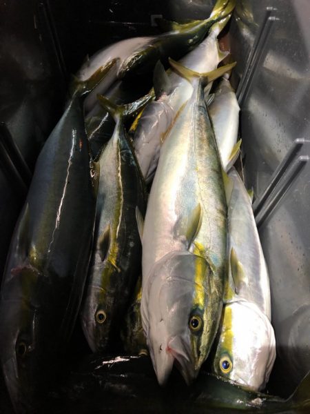 第二八坂丸 釣果