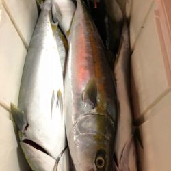 第二八坂丸 釣果