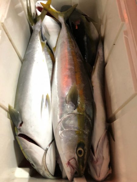 第二八坂丸 釣果