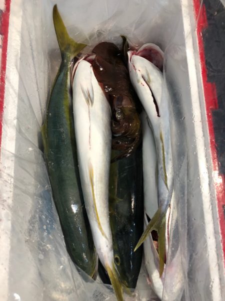 第二八坂丸 釣果