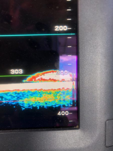 ＴＡＲＯＭＡＲＵ 釣果