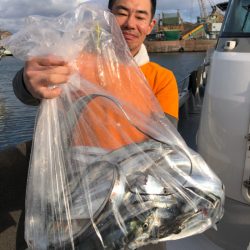 ビッグファイター 釣果