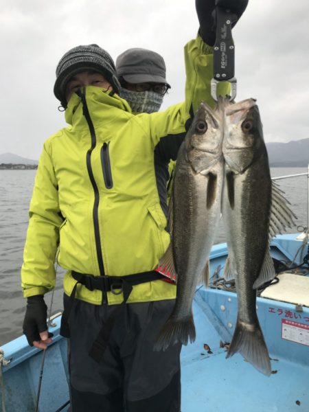 アマテラス 釣果