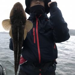 アマテラス 釣果