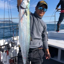 ビッグファイター 釣果