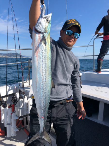 ビッグファイター 釣果