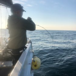 ＴＡＲＯＭＡＲＵ 釣果