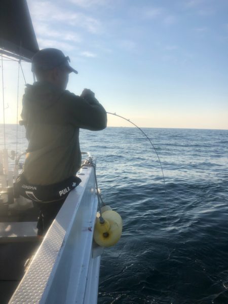 ＴＡＲＯＭＡＲＵ 釣果