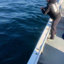 ＴＡＲＯＭＡＲＵ 釣果