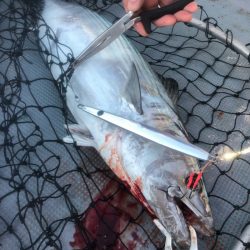 ＴＡＲＯＭＡＲＵ 釣果