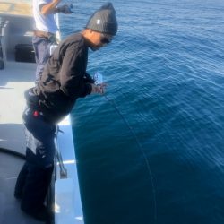 ＴＡＲＯＭＡＲＵ 釣果