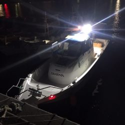 龍神丸(鹿児島) 釣果