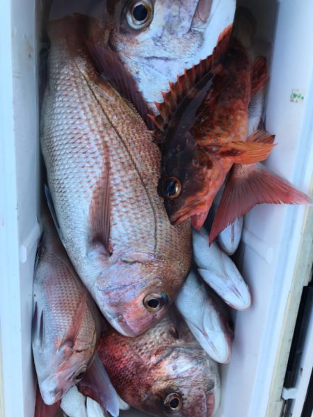 龍神丸(鹿児島) 釣果