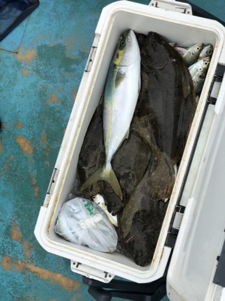 丸万釣船 釣果