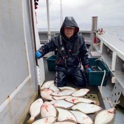 シーランチ 釣果