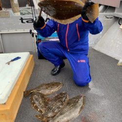 シーランチ 釣果