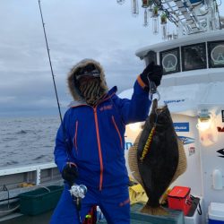 シーランチ 釣果