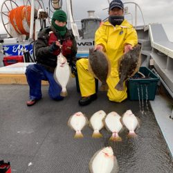 シーランチ 釣果
