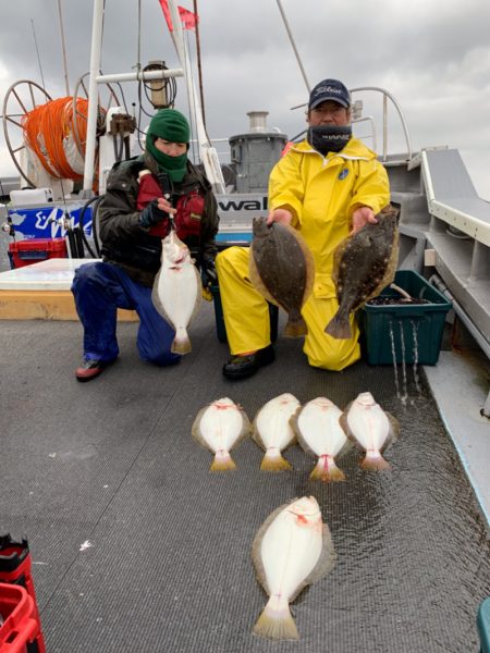 シーランチ 釣果