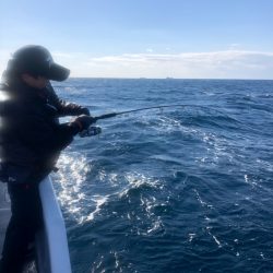 ＴＡＲＯＭＡＲＵ 釣果