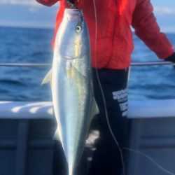 ＴＡＲＯＭＡＲＵ 釣果