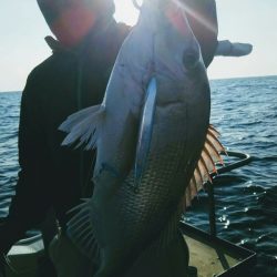光生丸 釣果