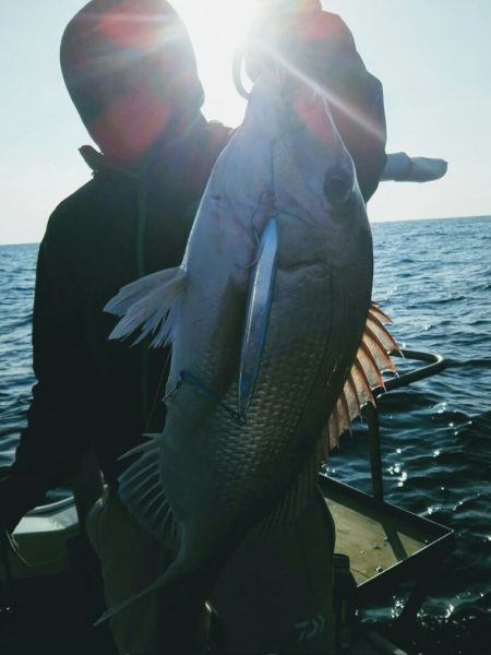 光生丸 釣果