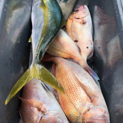 第二八坂丸 釣果