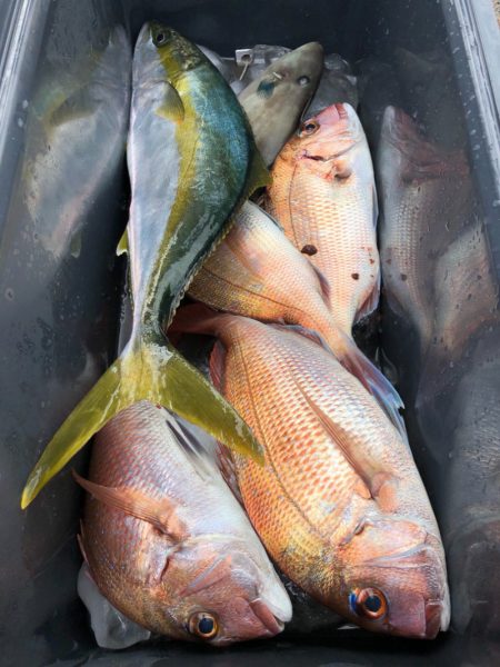 第二八坂丸 釣果