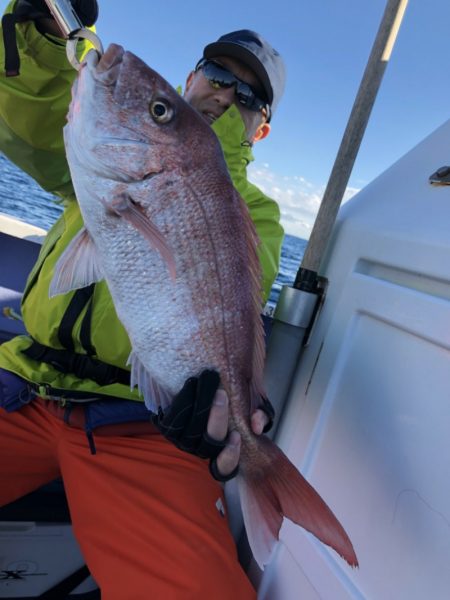 新幸丸 釣果