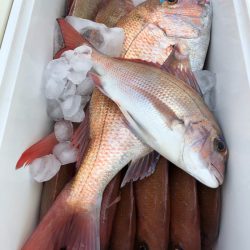 第二八坂丸 釣果