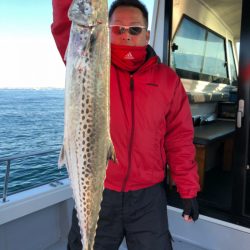 ビッグファイター 釣果