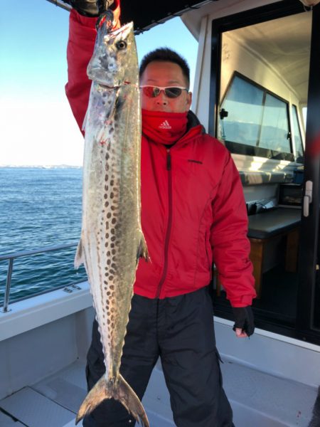 ビッグファイター 釣果