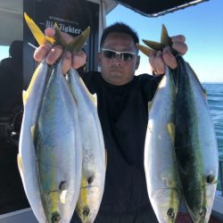 ビッグファイター 釣果