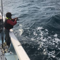 あみや渡船 JIGBOY 釣果