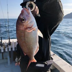 あみや渡船 JIGBOY 釣果