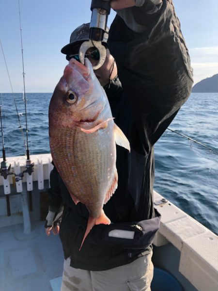 あみや渡船 JIGBOY 釣果