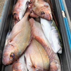 第二八坂丸 釣果