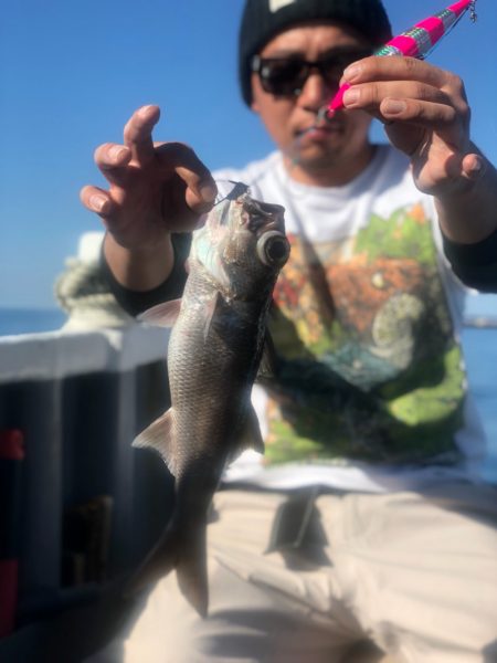 ＴＡＲＯＭＡＲＵ 釣果